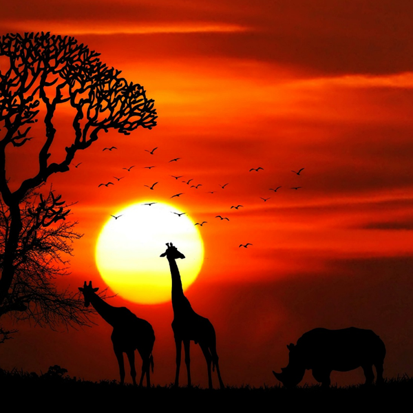 Africa