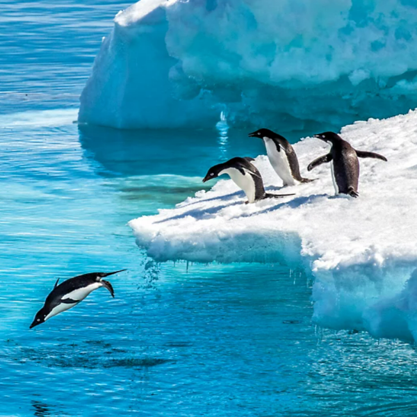 Antarctica