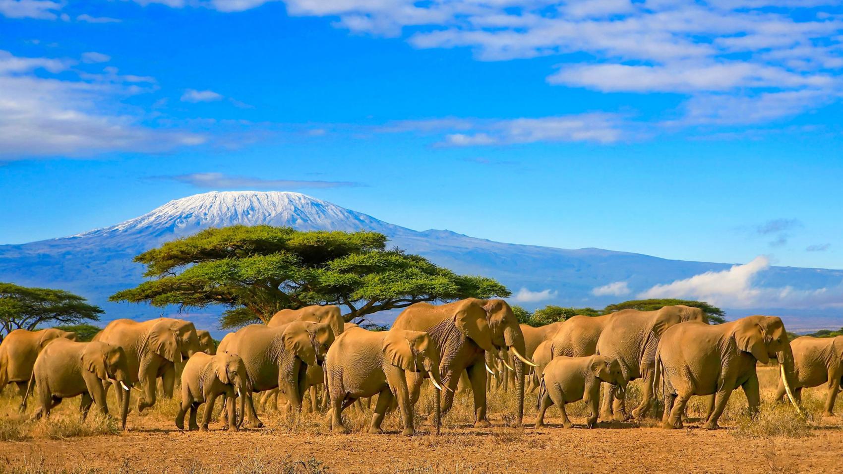 Africa