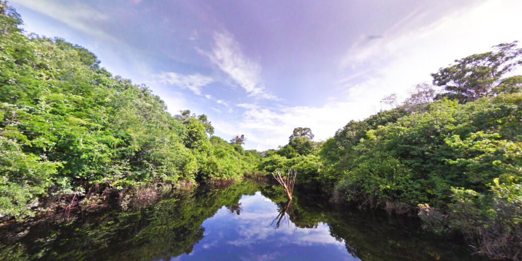 Amazon River